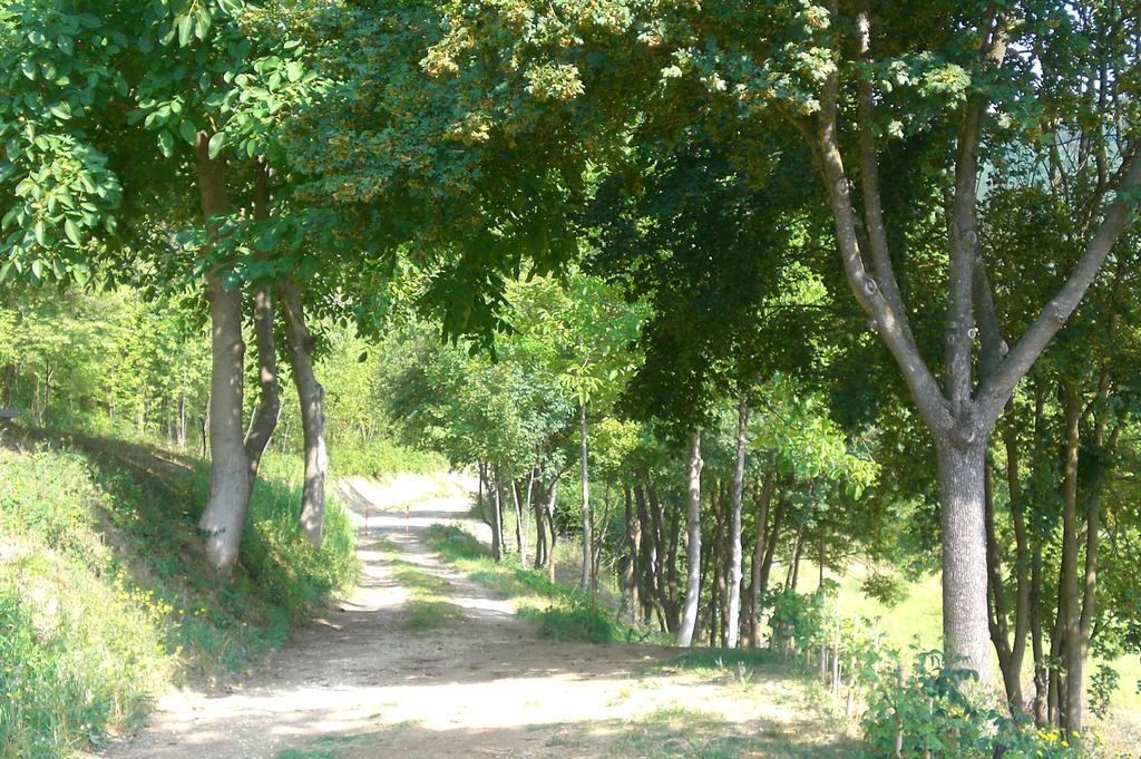 Brisighella Green Wellness ภายนอก รูปภาพ